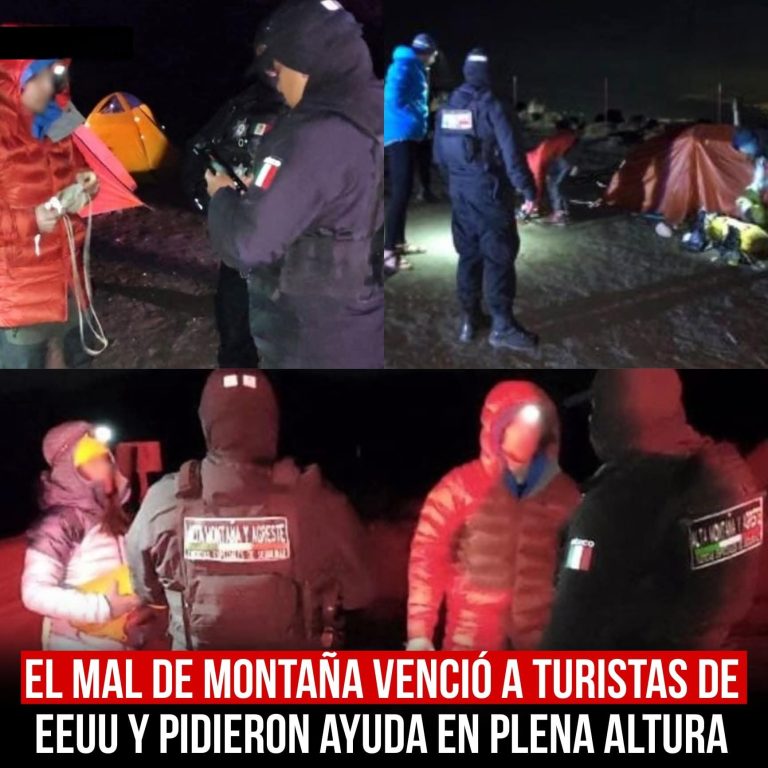 FB_IMG_1771127280052