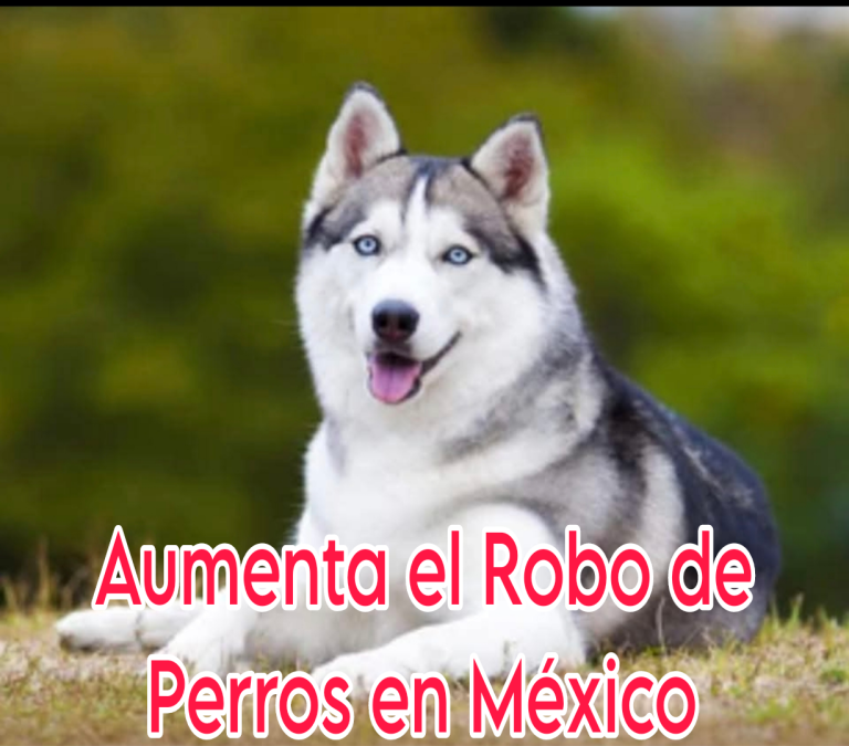 Picsart_26-02-11_09-39-27-511