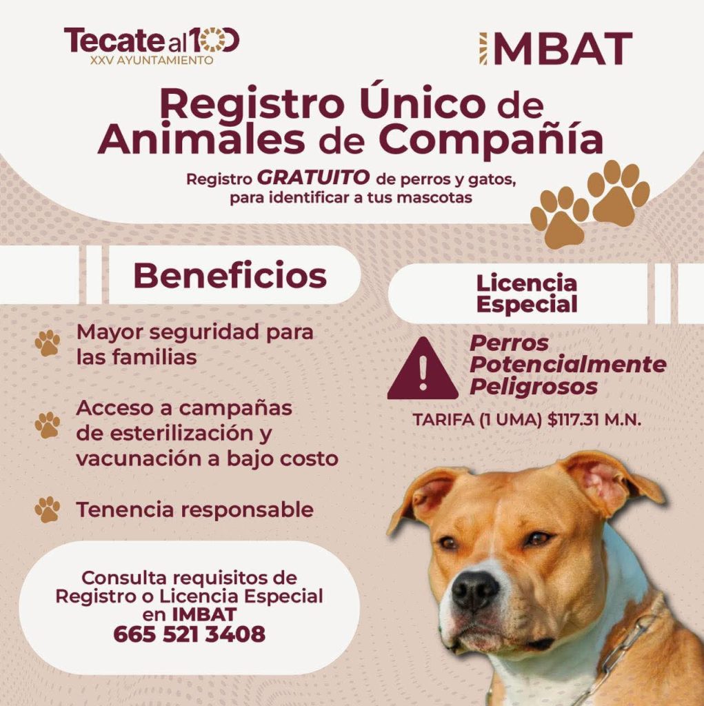 FB_IMG_1776224548289