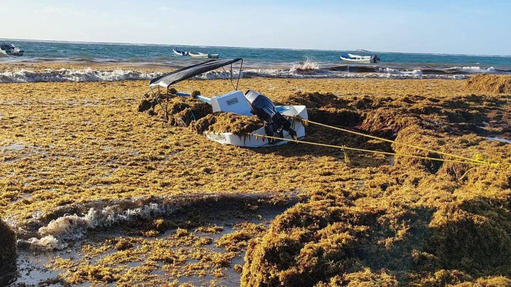 FB_IMG_1776484811779