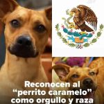 FB_IMG_1776976436426