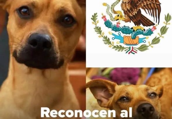 FB_IMG_1776976436426