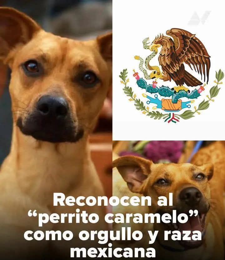 FB_IMG_1776976436426